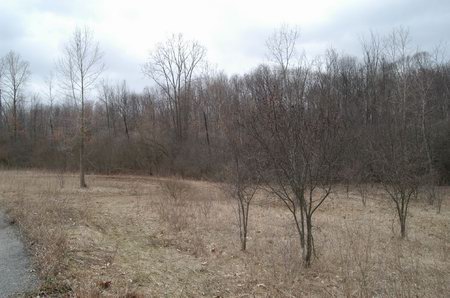 Jackson Motor Speedway - Grandstand Area (newer photo)